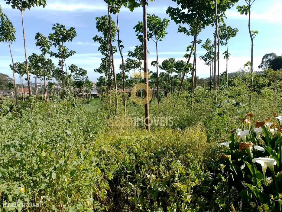 Land for Construction