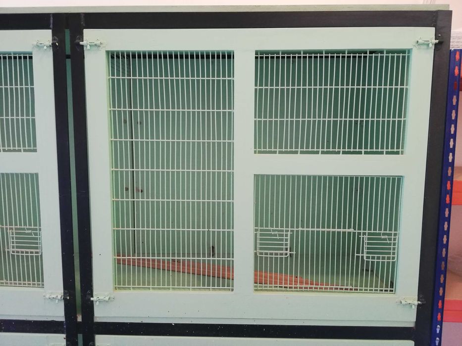 Voadeira grande para aves | 180 × 183 cm | 2 ou 4 espaços