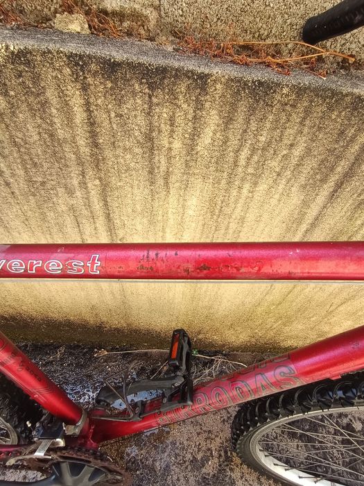Bicicleta BTT Everest