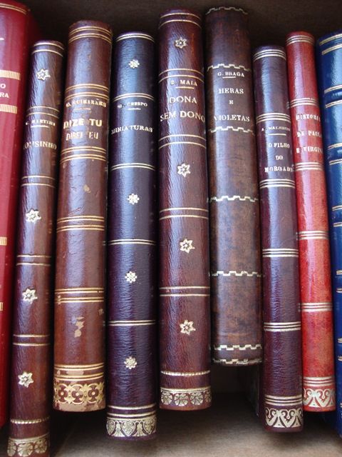 Literatura Diversa