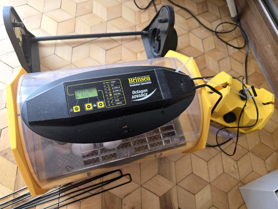 Inkubator brinsea z pompą między 20 a 30