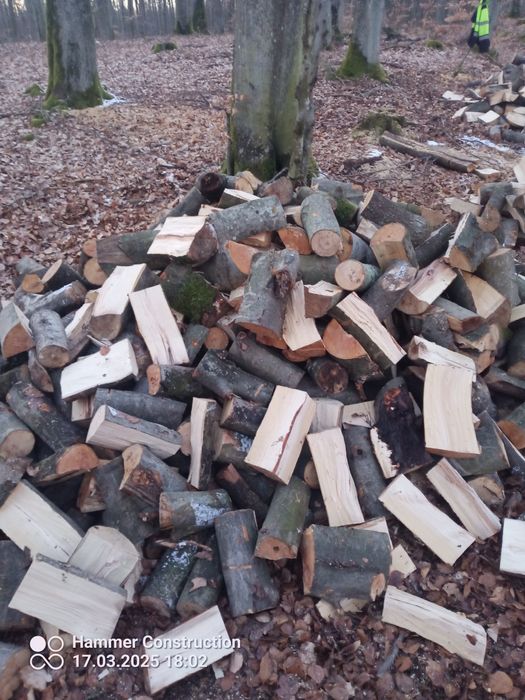 Sprzedam drewno kominkowe