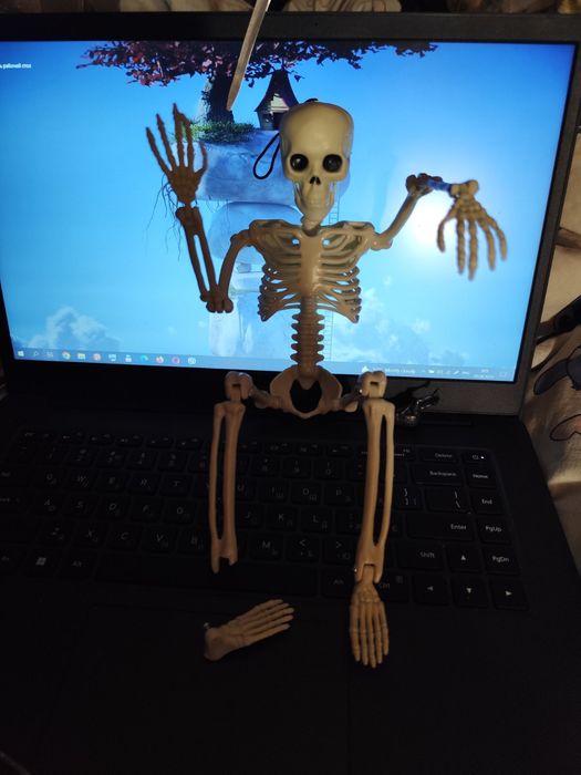 Игрушка подвижная модель  скелет человека пластик40 см есть брачок