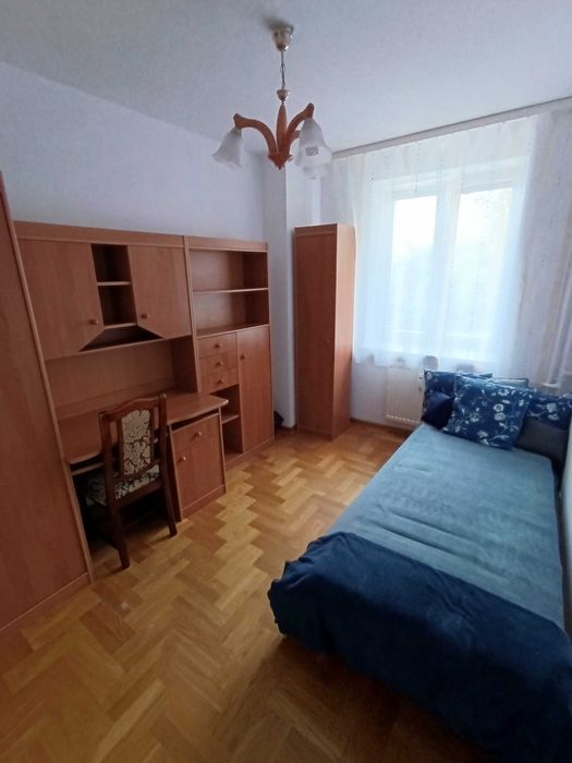 najmem mieszkania