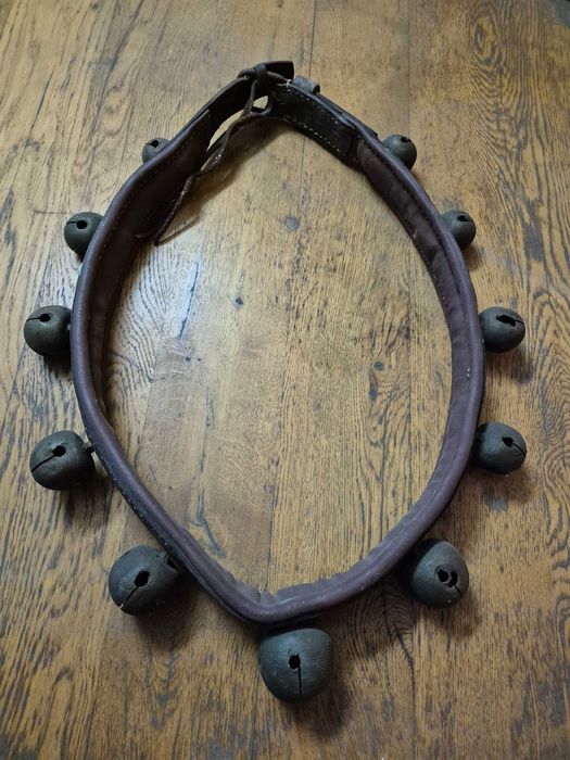 Przedwojenne janczary