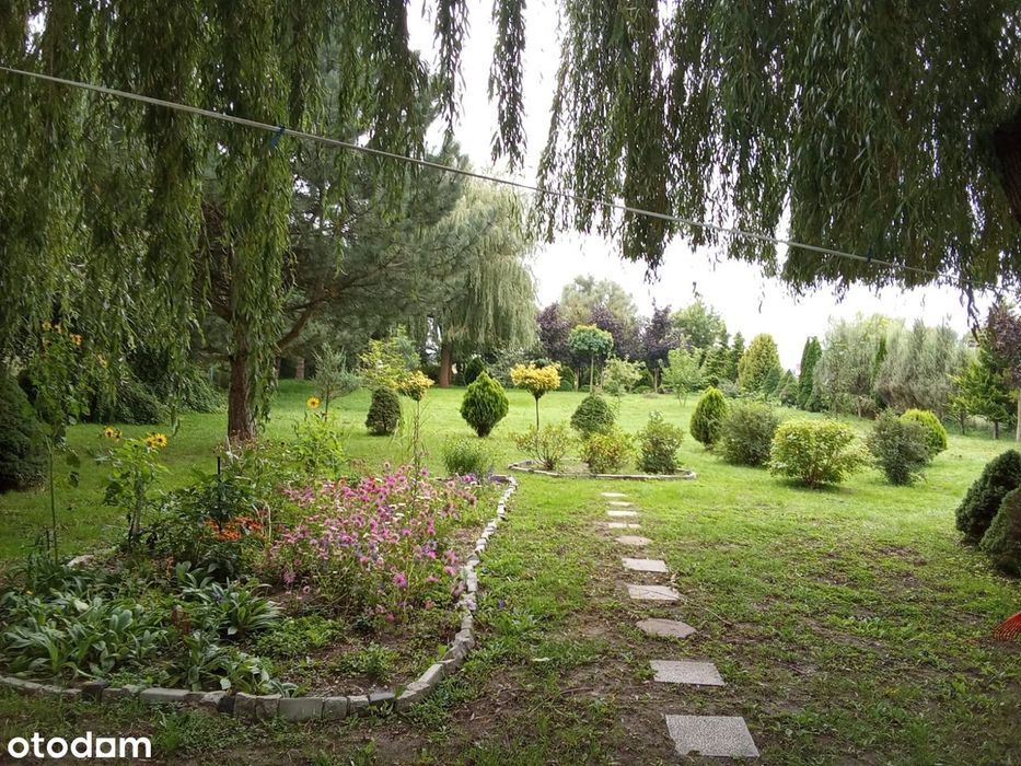 Działka pod inwestycję z mediami, 4000 m² - Widok 3