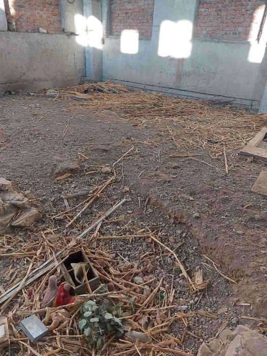 Майновий комплекс м.Ямпіль  вул.Чорноморця, 50  50000$