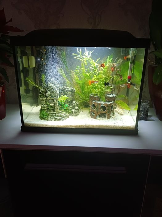 Sprzedam akwarium