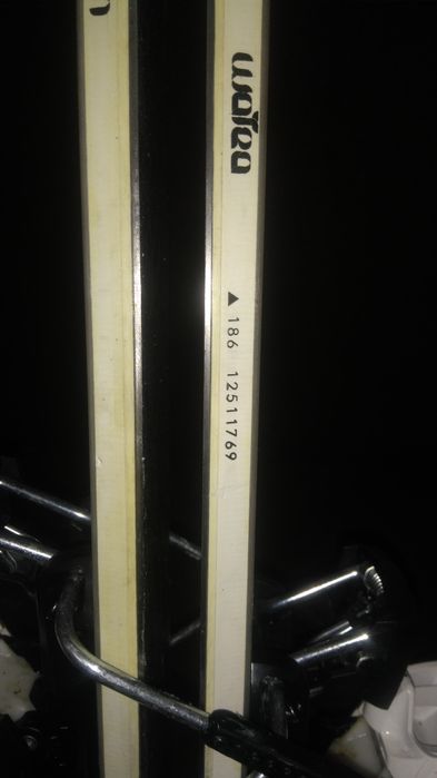 Гірські лижі для траси і позатрасового катання.