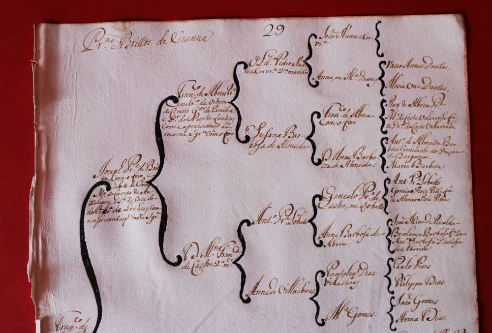 Pereiras e Britos de Viana árvore de costados manuscrita (cc 1746)