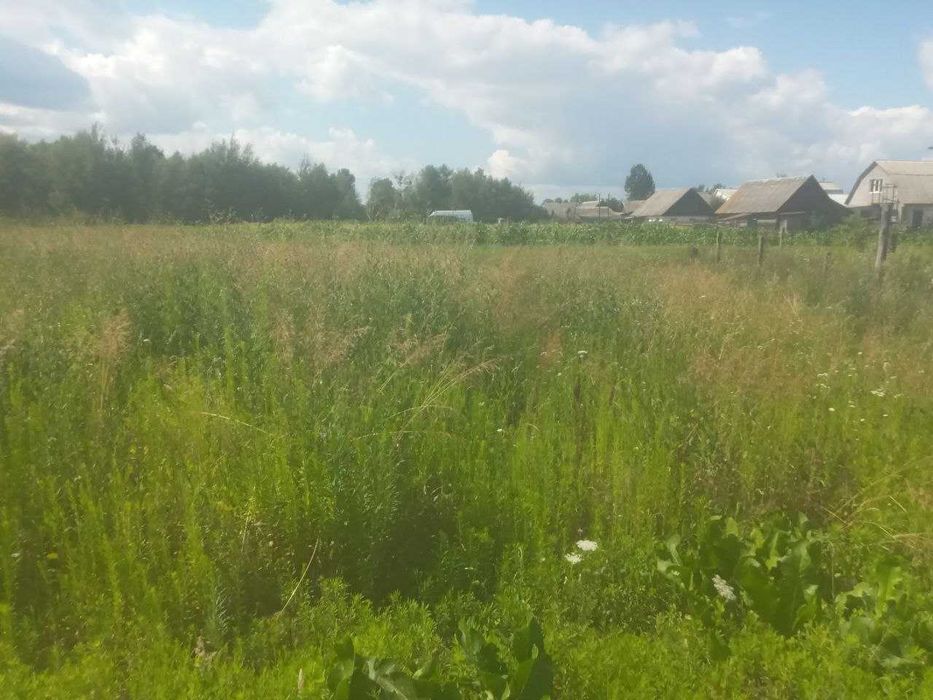 Пропоную до продажу будинок / дачу