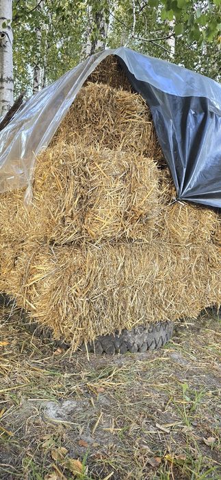 Солома,тюкована,