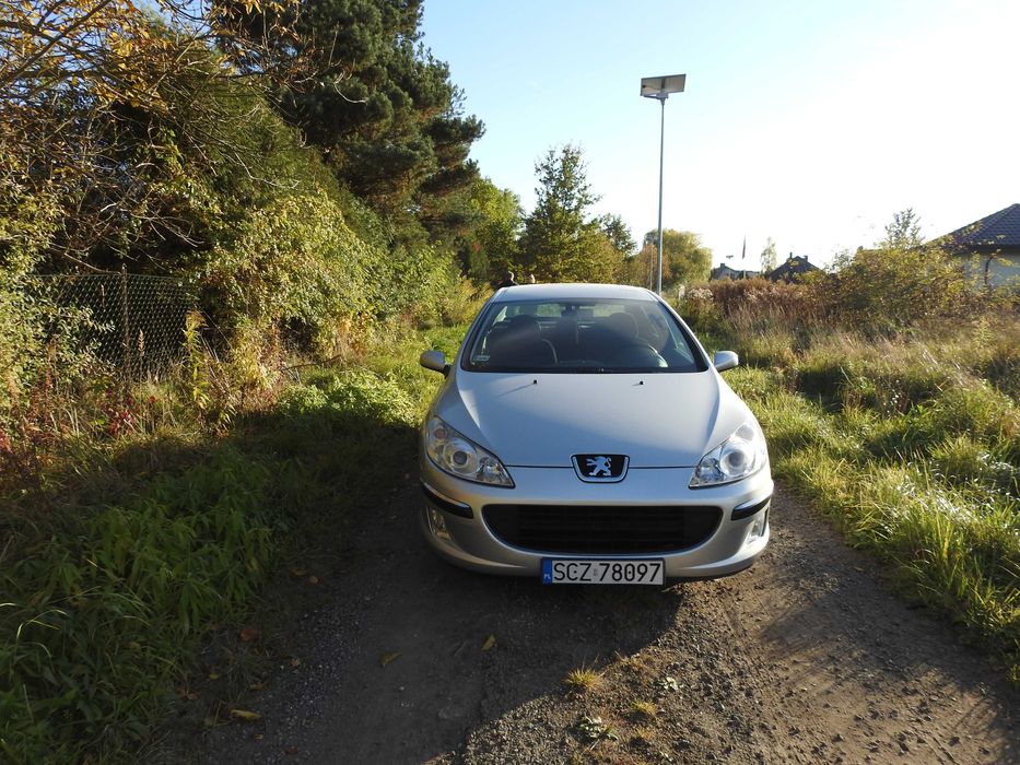 Peugeot 407