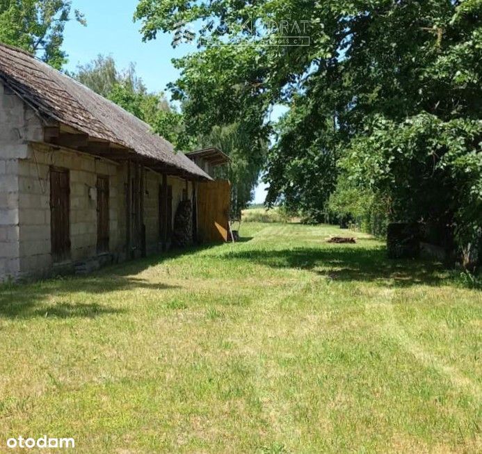 Okazja Podlasie siedlisko 2200 m2 drewniany dom,