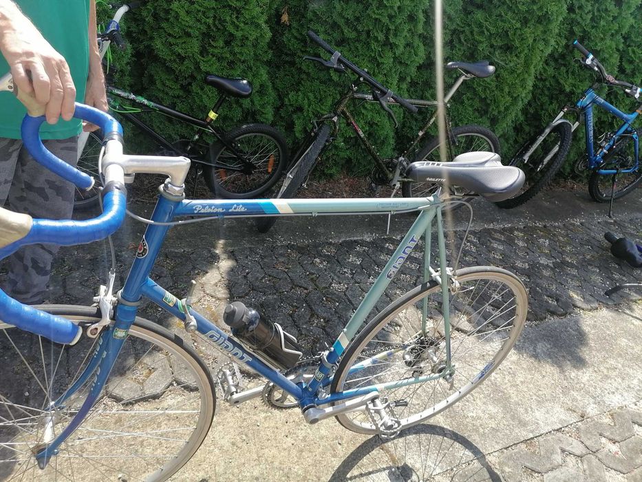 Kolarzowka Giant Giant