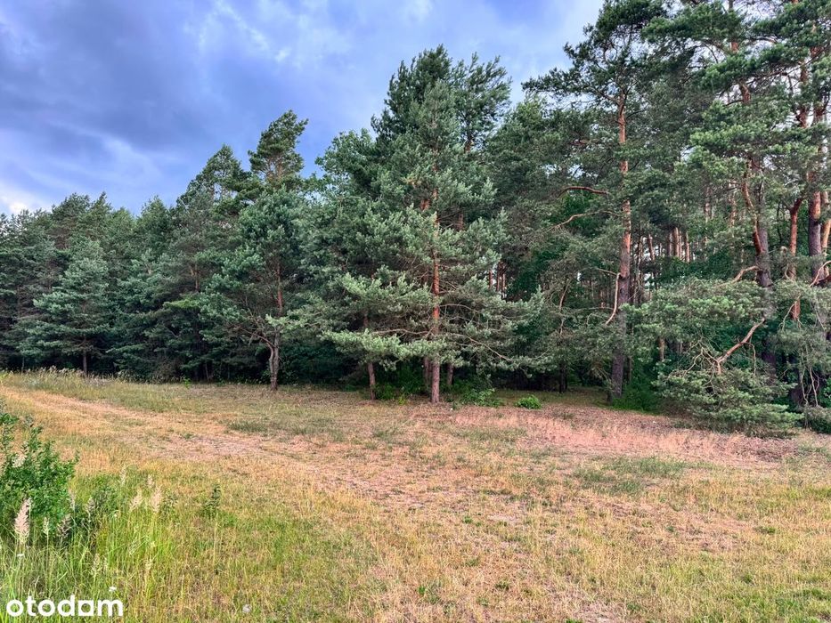Działka budowlana z WZ , 4900 m² z malowniczym widokiem w Żernikach - Widok 5