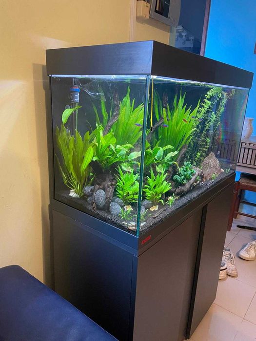 Aquário EHEIM Vivaline LED 126L