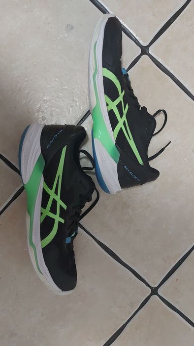Buty  sportowe /asics/ sky elite ff /43.5