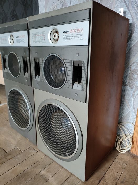 Акустична система ВЕГА 25 АС109-2 (колонки)