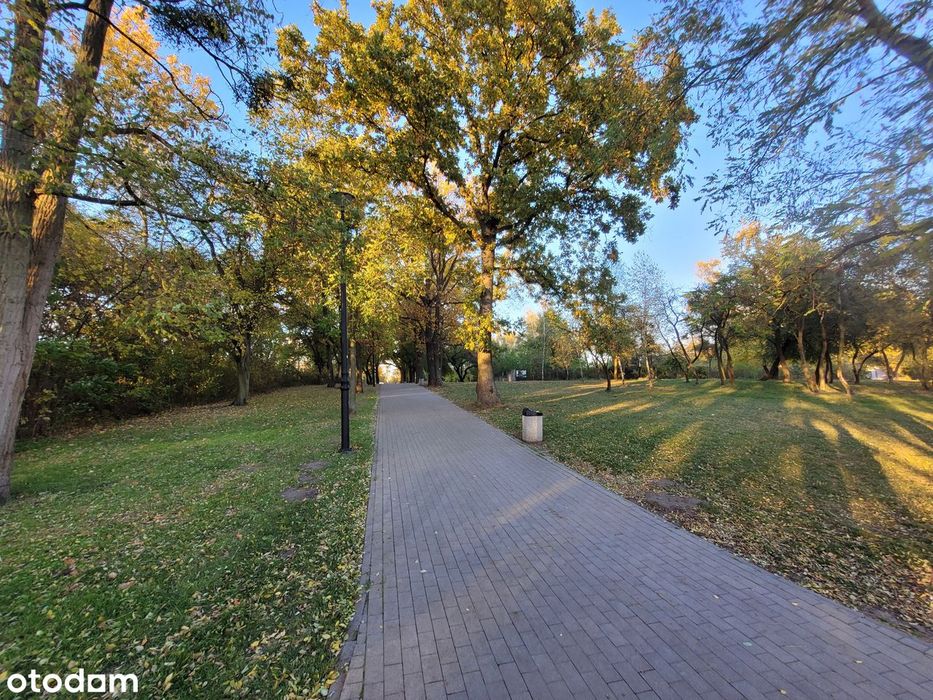 Wolnostojący dom nad samym Jeziorem Lusowskim