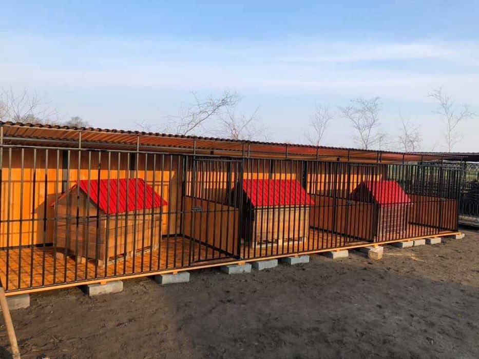 Kojec dla psa - solidny_mocny_Niskie ceny