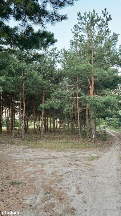 Działka nad Jeziorem Ślesińskim z prywatnym dostępem do jeziora
