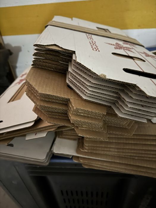 Caixa de cartao de 3garrafas