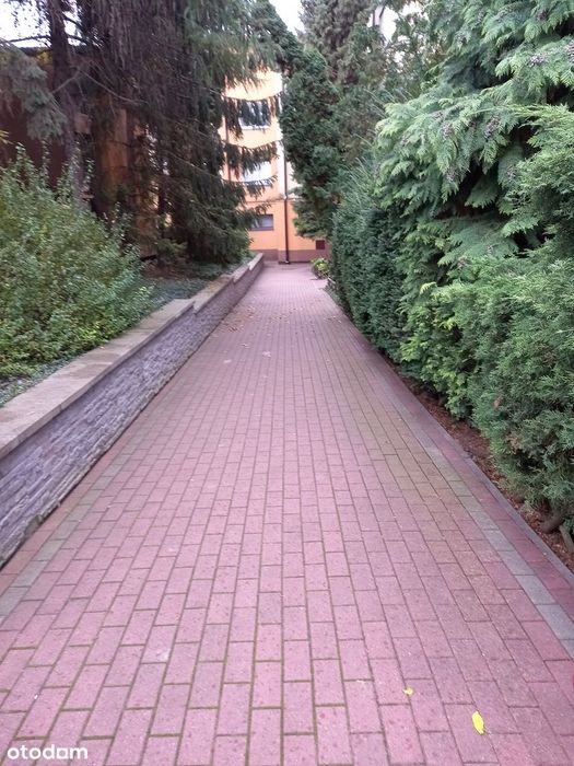 Mieszkanie – Radom, Śródmieście - Widok 3