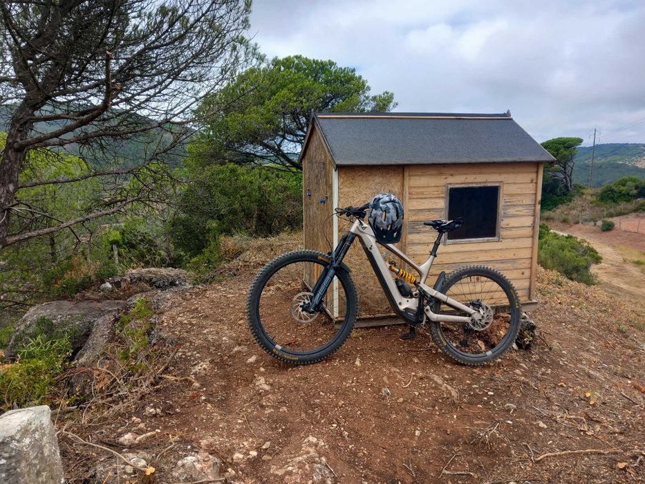 Bicicleta Enduro YT Decoy MX Core 2