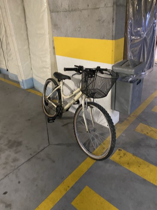 Bicicleta pasteleira