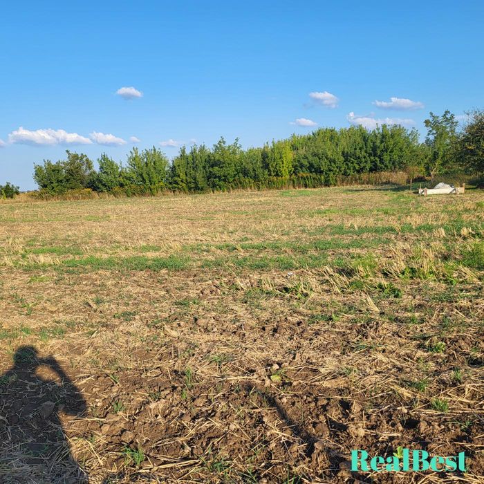 Продаж / Земля / Дядьковичі поблизу м.Рівне