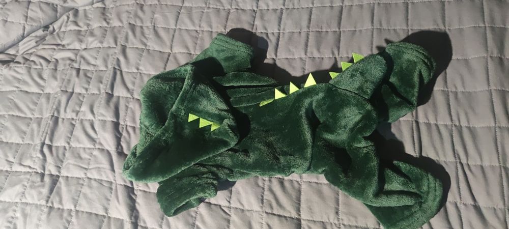 Nowe ubranko dla psa dinozaur