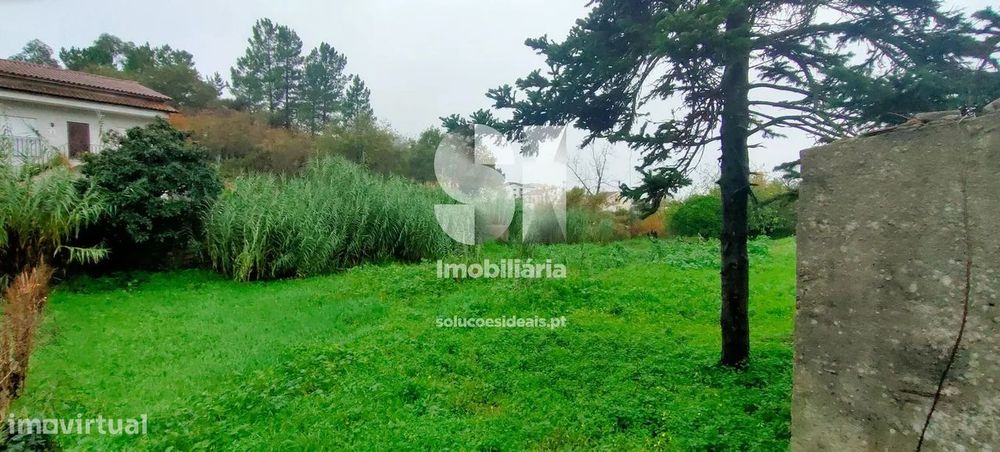 Terreno em Ribeira de Frades