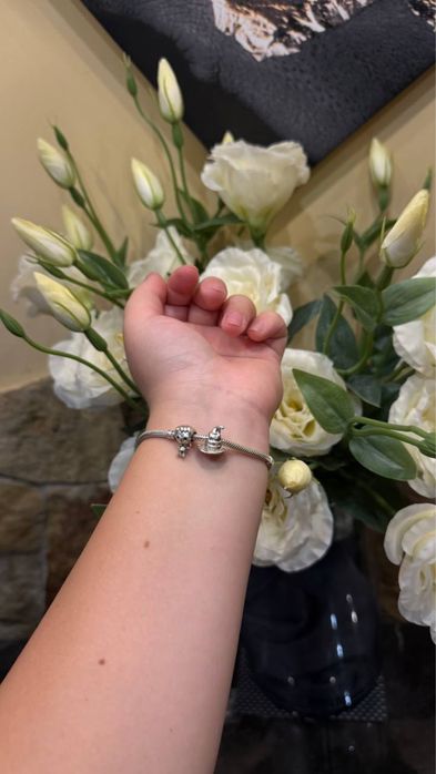 Браслет Pandora Harry Potter,Гаррі Поттер,Гаррі і Шляпа