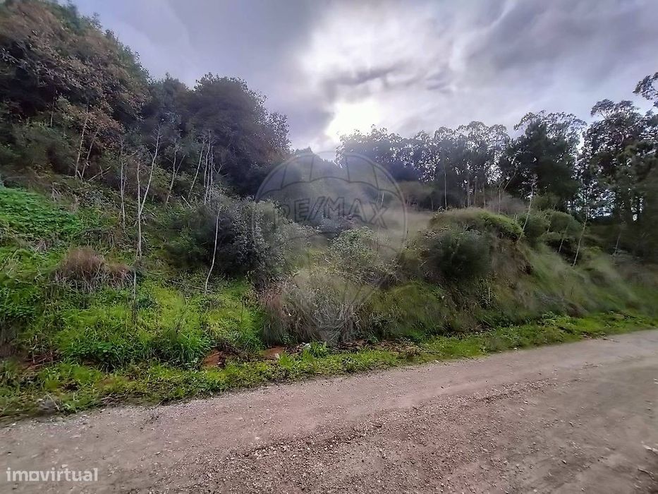 Terreno  para venda — Santa Maria, São Pedro E Sobral Da Lagoa, Leiria