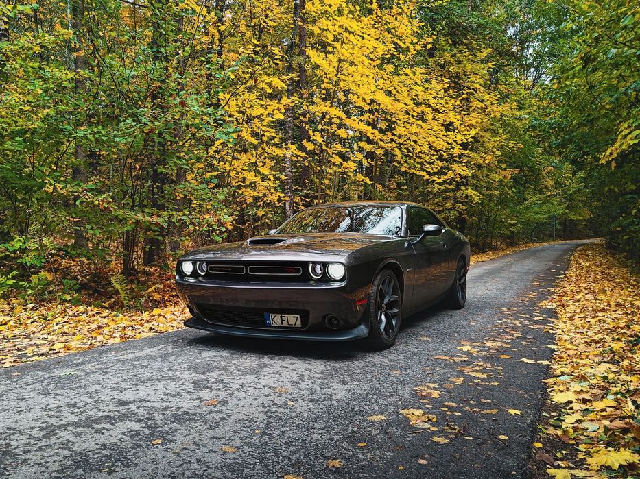 Dodge Challenger Dodge Challenger R/T piekielnie głośna bestia