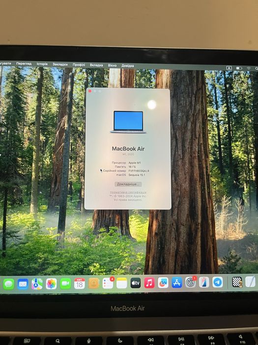 MacBook Air M1 / 16GB RAM / 256GB SSD / 100%