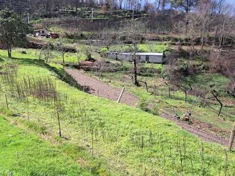 Terreno com mina de água