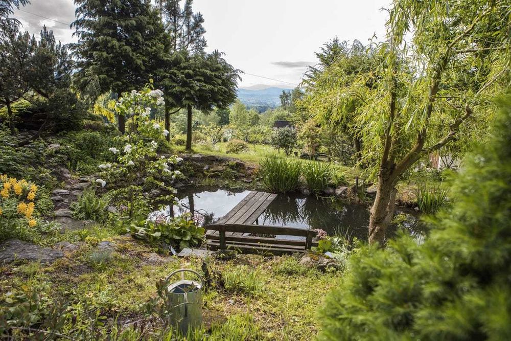 Dom w górach wyłączność Święta Sudety Góry Sowie  widok noclegi