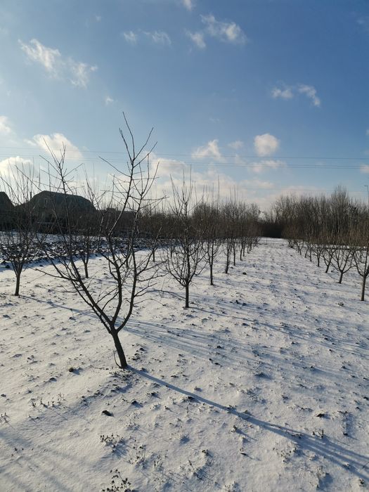 Продам земельну ділянку