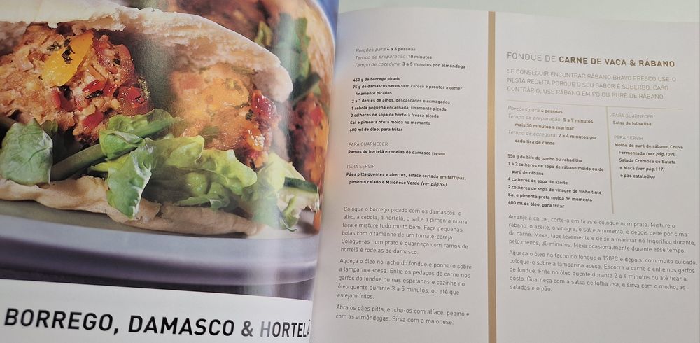 O livro do fondue 100 receitas