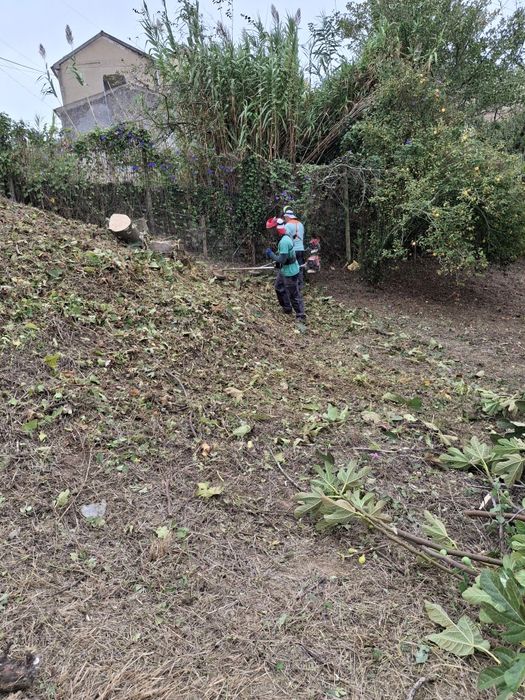 Serviço de escavações  limpeza de terreno