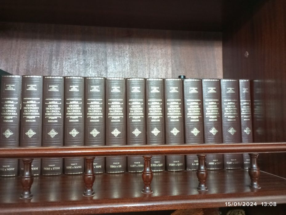 Vendo Dicionário Português em capa dura