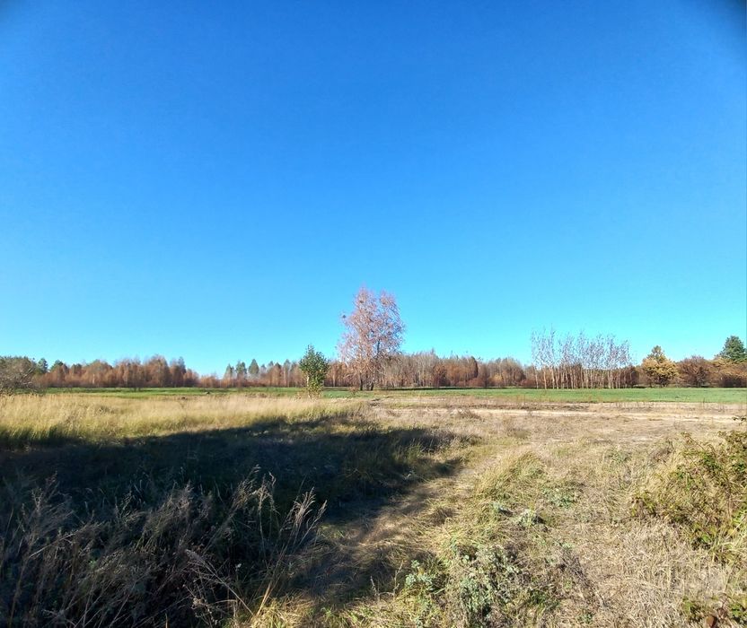 Продам Дом в с.Лошаков Гута, участок 25сот. Киевское море