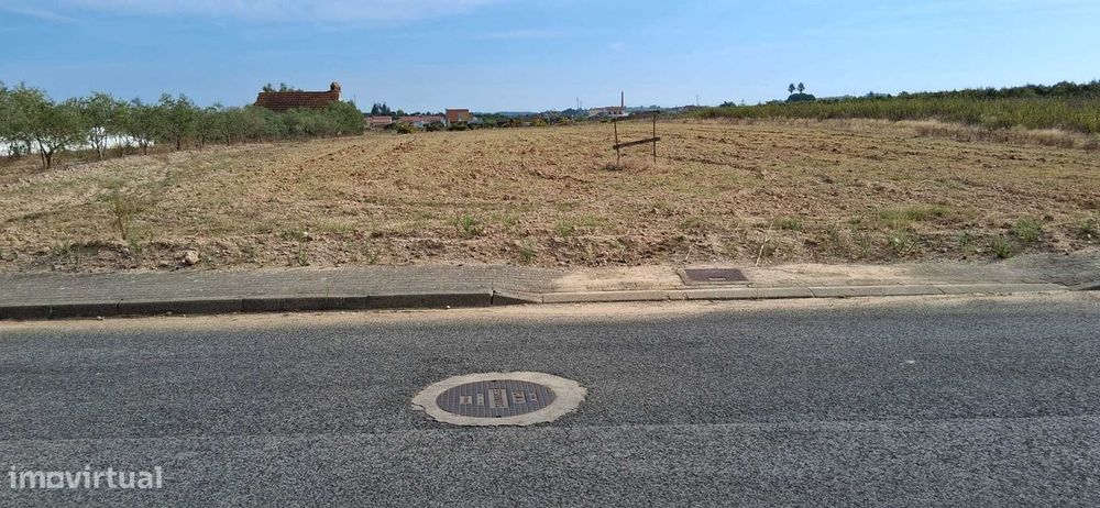 Terreno 5500 m2 - Viabilidade de Construção - Frade de Cima/Alpiarça