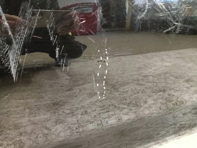 Drzwi Prawe Przednie Prawy Przód Toyota Corolla E21 19-