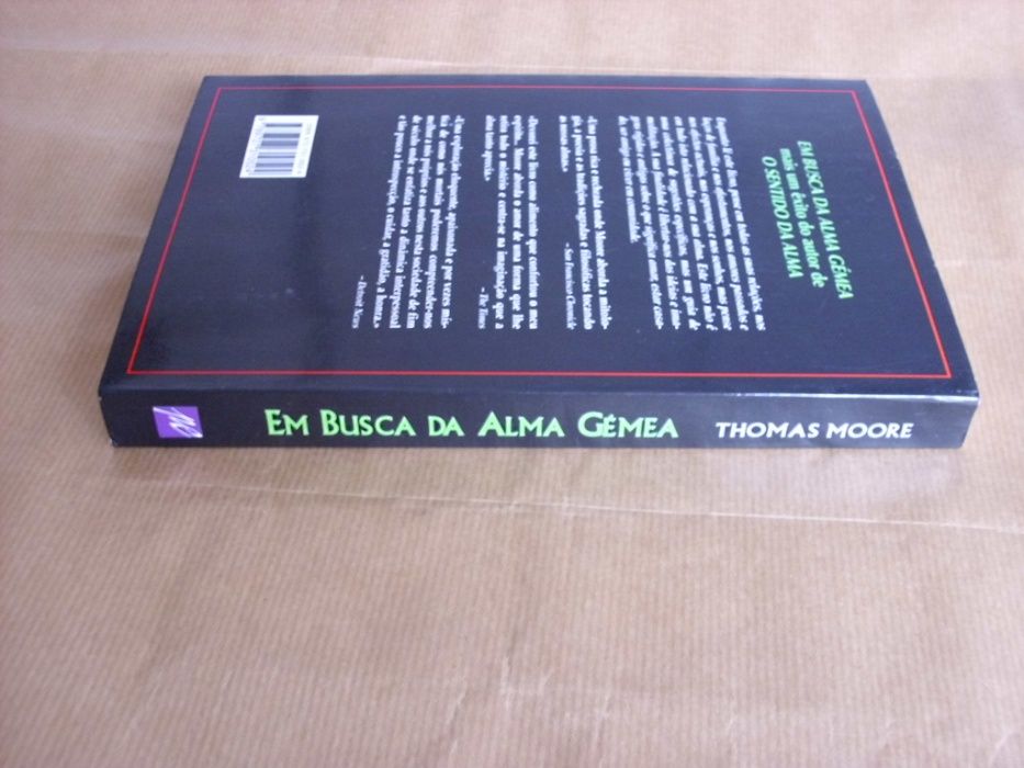 Em Busca da Alma Gémea de Thomas Moore