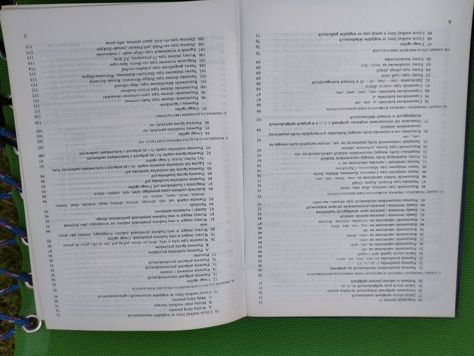 Słownik ortograficzny języka polskiego