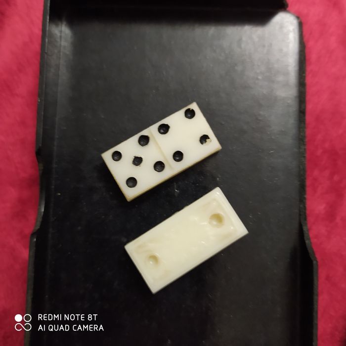 домино и шайба