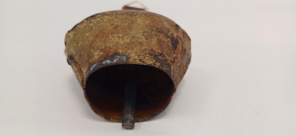 Dzwonek pasterski Alpejski duży